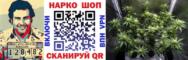 Купить наркотик аптеки Кузнецк МАРИХУАНА Кокаин АМФ Меф Экстази ссылка на мегу вход ГАШ
