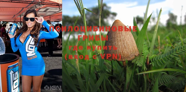 круглые Белокуриха