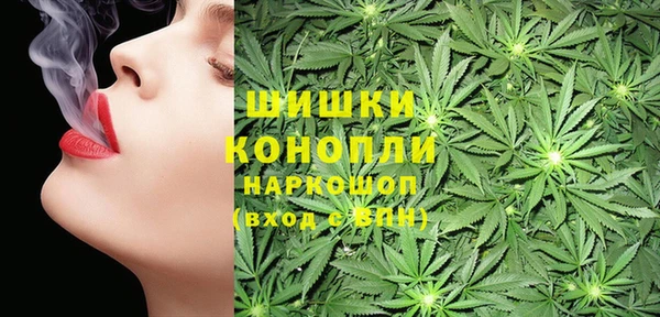 круглые Белокуриха